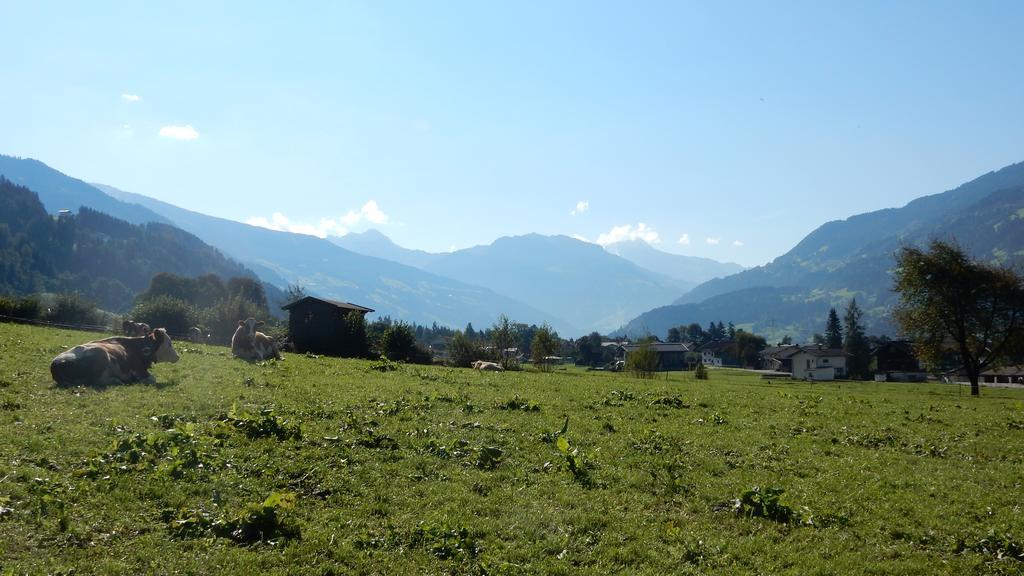 Haeuserhof 斯达姆 外观 照片